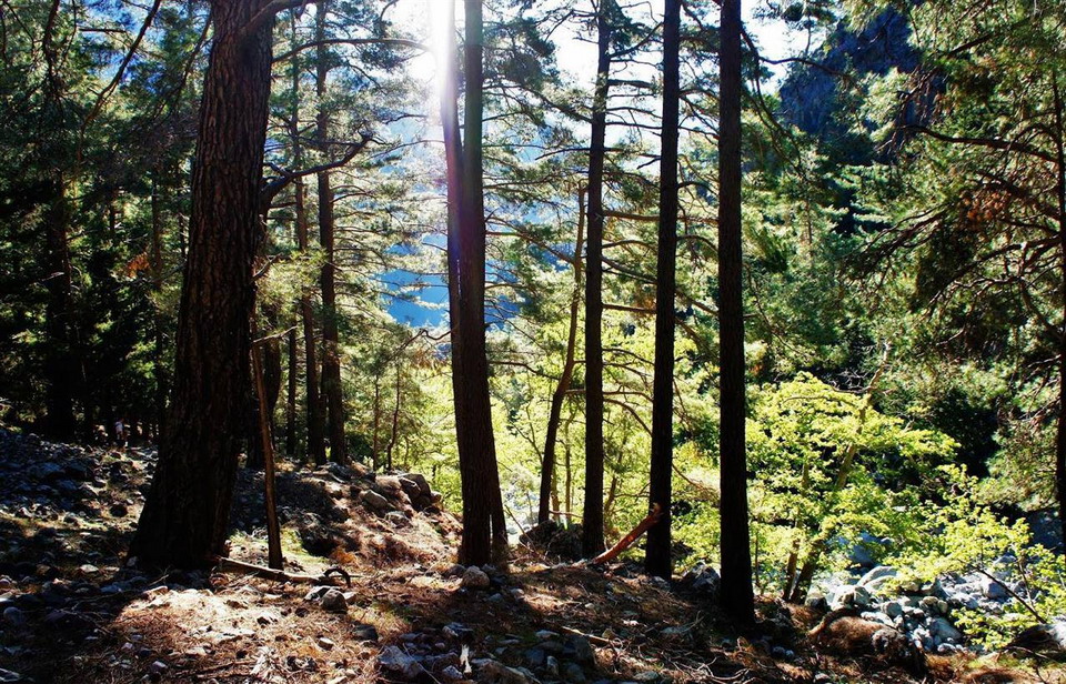  Samaria klisura Krit 